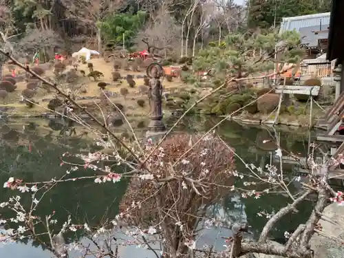 榊山稲荷神社の自然