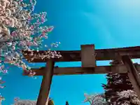 宇多須神社の鳥居