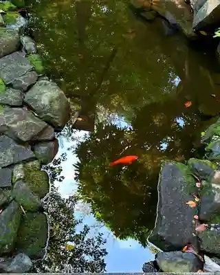熊野神社(東京都)