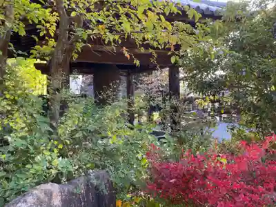 大善寺のその他建物