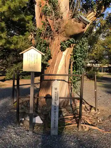 氣比神宮の自然