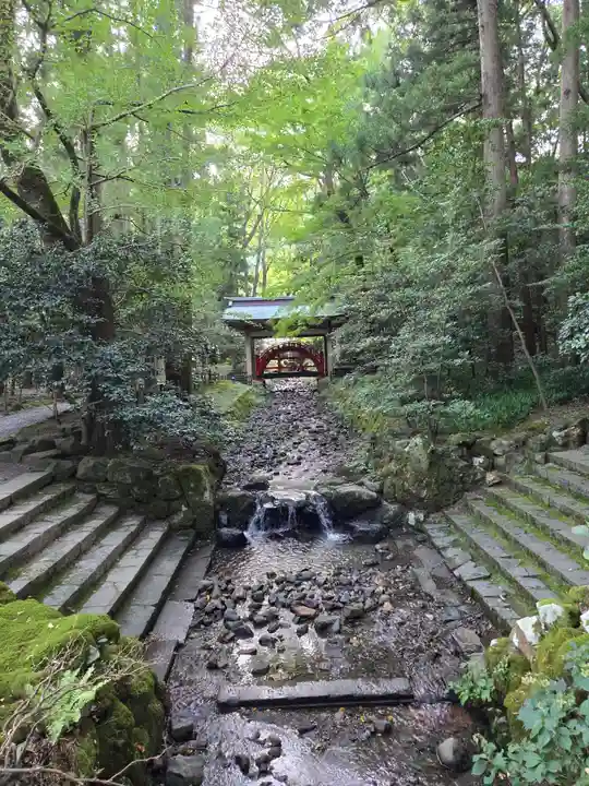 彌彦神社(新潟県)