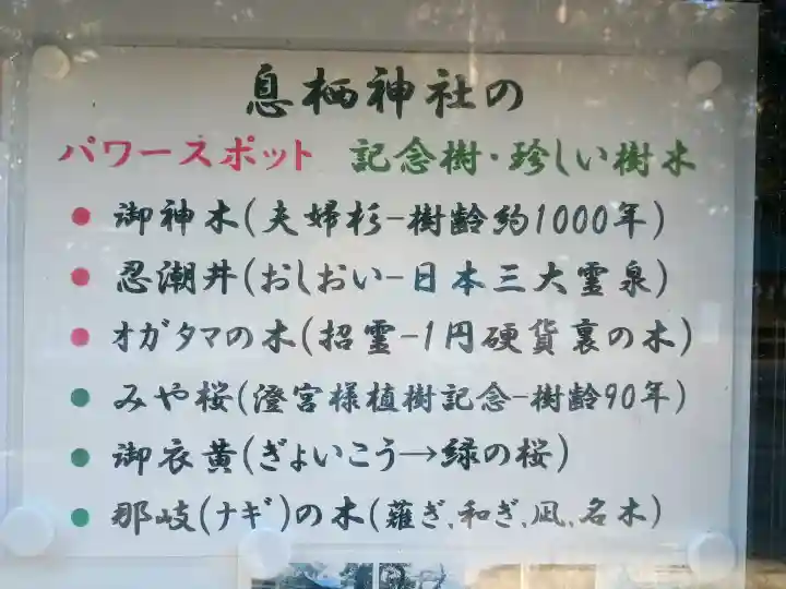 息栖神社の{uncategorized: "未分類", other: "その他", undefined: "問題あり", building: "その他建物", grave: "お墓", sacred_gate: "鳥居", guardian: "狛犬", statue: "像", buddha: "仏像", history: "歴史", nature: "自然", garden: "庭園", animal: "動物", pagoda: "塔", temizu: "手水舎", mountain_gate: "山門・神門", sanctuary: "本殿・本堂", subordinate: "末社・摂社", art: "芸術", scenery: "景色", jizo: "地蔵", ema: "絵馬", goshuin: "御朱印", omikuji: "おみくじ", items: "授与品その他", amulet: "お守り", goshuincho: "御朱印帳", eats: "食事", festival: "お祭り", votive_dance: "神楽", shichigosan: "七五三参", wedding: "結婚式", experience: "体験その他", initially: "初詣", around: "周辺", anti_infection: "感染症対策"}