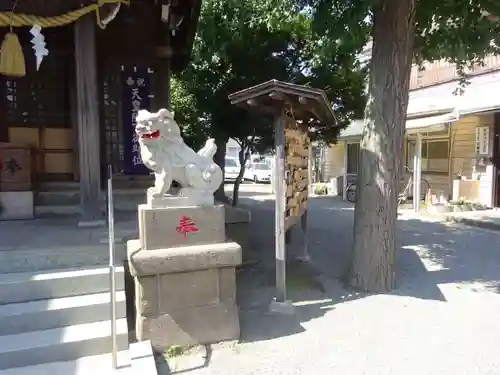 東林間神社の狛犬