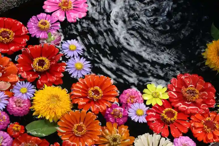 大鏑神社の手水舎