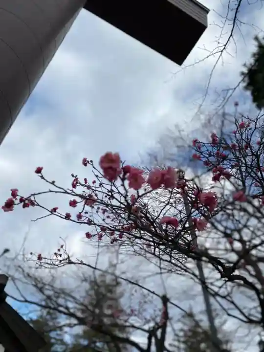 開成山大神宮の自然