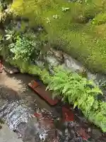 南禅寺(京都府)