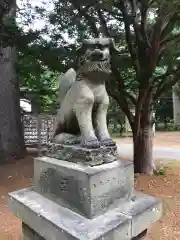 大谷地神社の狛犬