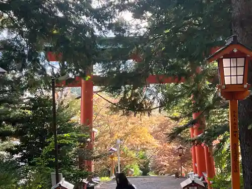 新倉富士浅間神社(山梨県)