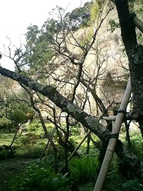 浄光明寺の自然