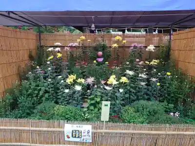 宗像大社(福岡県)