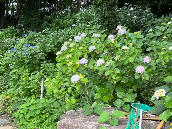 谷保天満宮(東京都)