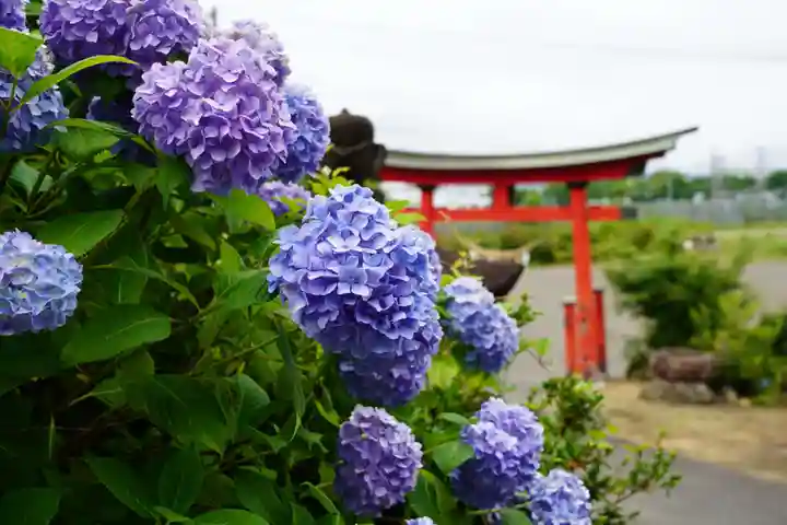 石母田 三吉神社の自然