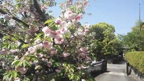 蓮華寺のその他建物