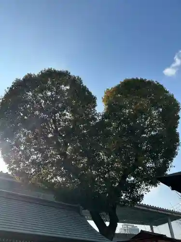 南宮宇佐八幡神社（脇浜神社）(兵庫県)