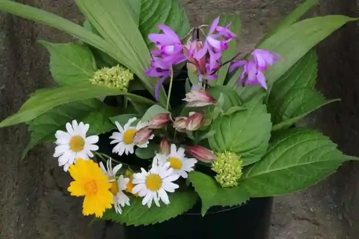 熊野福藏神社の手水舎