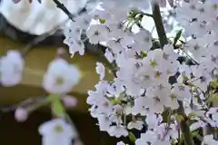 白山媛神社(新潟県)