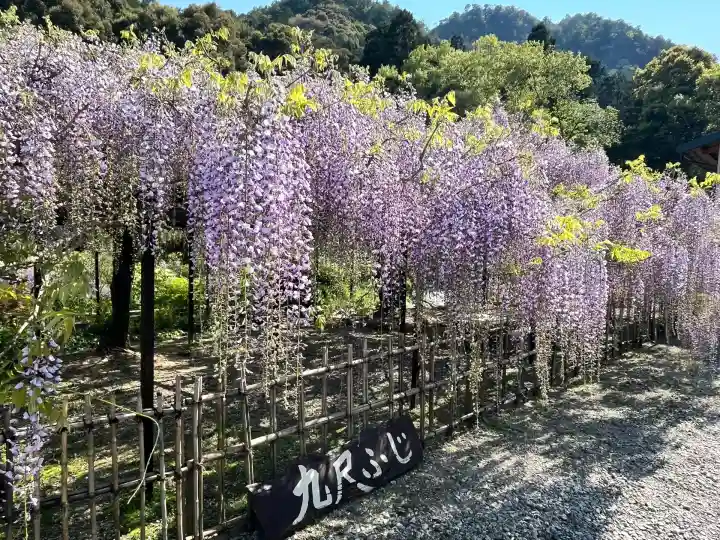 白毫寺熊野権現社(兵庫県)