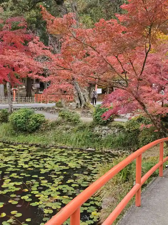 大原野神社の庭園