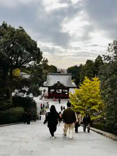 鶴岡八幡宮の景色