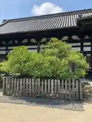 誉田八幡宮の庭園