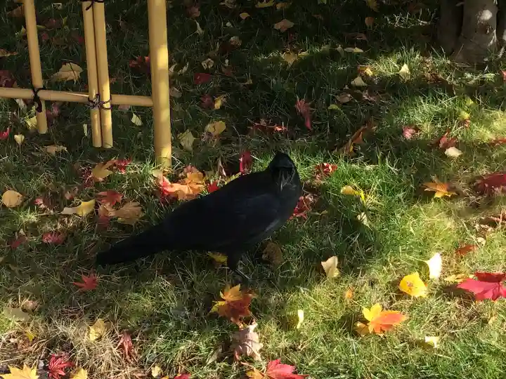 西野神社(北海道)