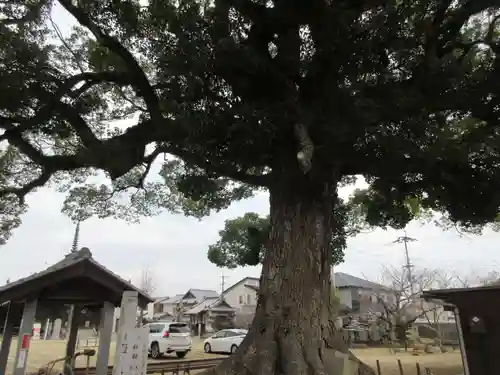 長尾寺(香川県)