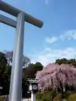 櫻木神社のその他建物