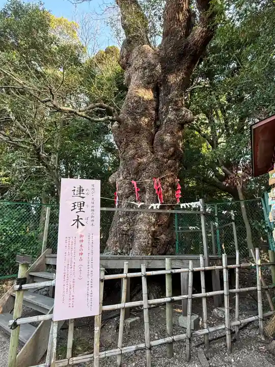 城山八幡宮(愛知県)