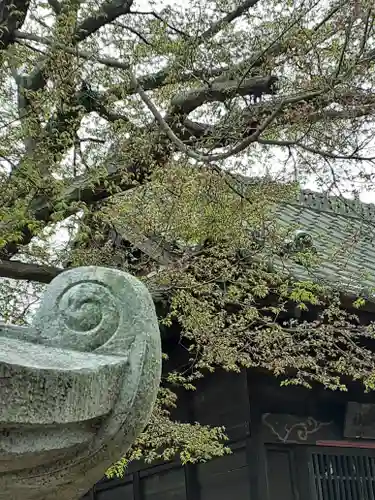 伏木香取神社のその他建物