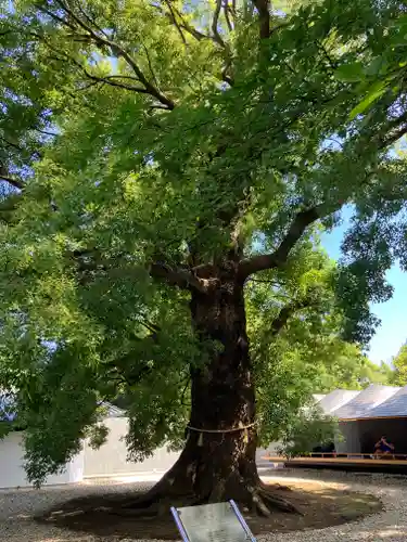 上野東照宮(東京都)