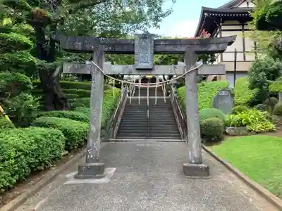 白幡八幡大神(神奈川県)