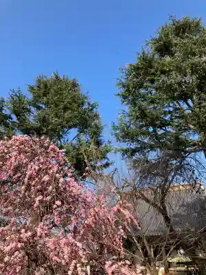 寛永寺(根本中堂)(東京都)