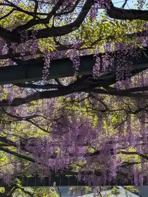 國領神社(東京都)