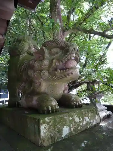 大宮神社の狛犬