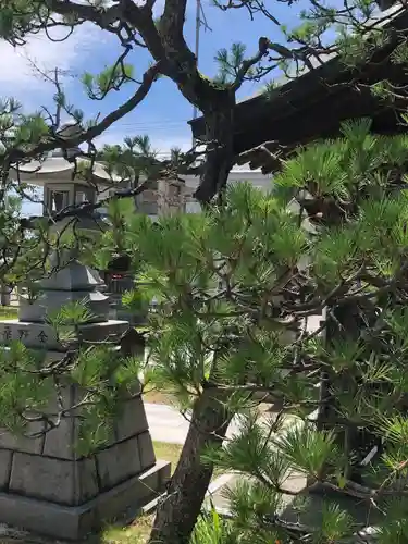 白山神社(福井県)