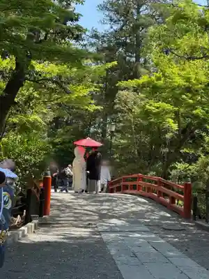 鶴岡八幡宮の結婚式