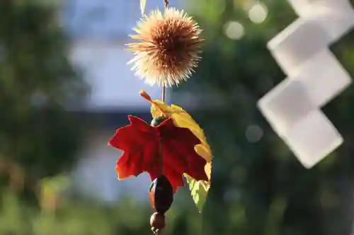 豊景神社の手水舎