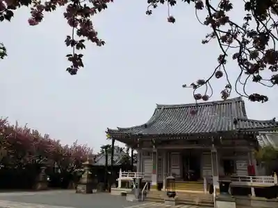 荘厳寺(東京都)