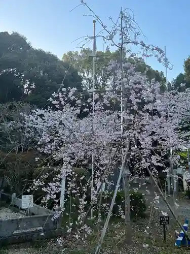 大木神社の自然