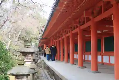 春日大社(奈良県)