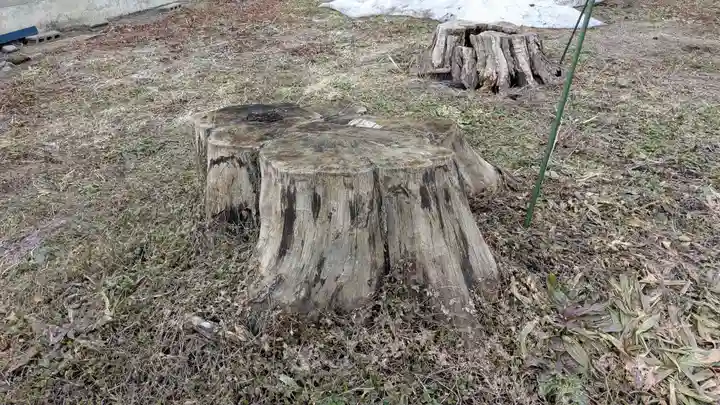 金刀比羅神社の自然
