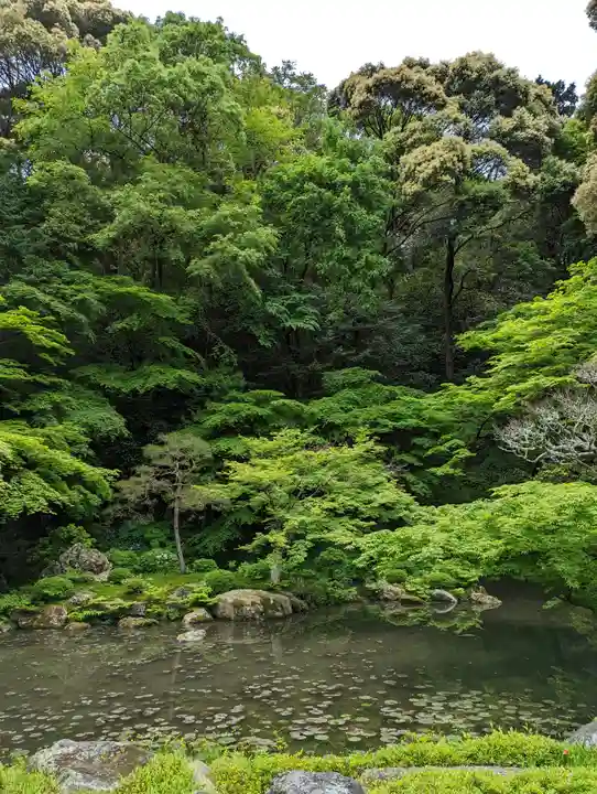 南禅院(京都府)