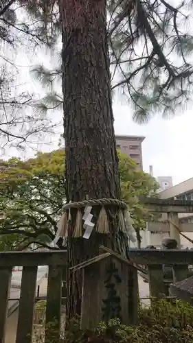 橿森神社の自然