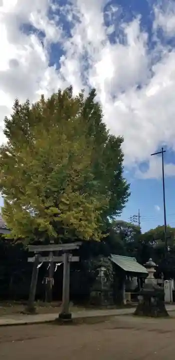 綾瀬稲荷神社の鳥居