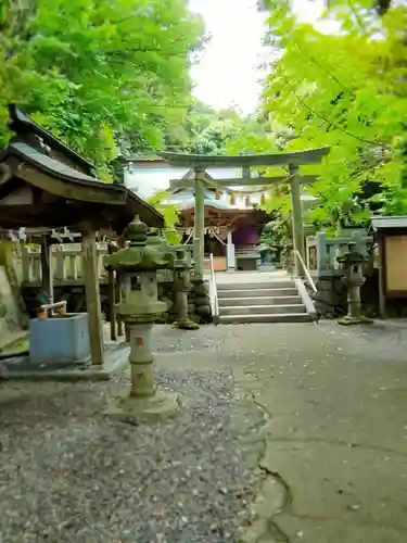 泉神社の鳥居