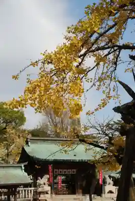 忌宮神社(山口県)