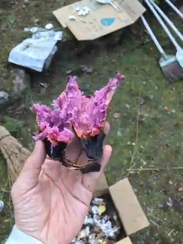 日蓮宗 総本山 塔頭 定林坊(じょうりんぼう)(山梨県)