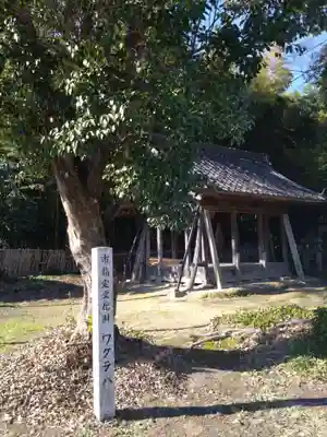 白山社（丹陽町九日市場）の自然