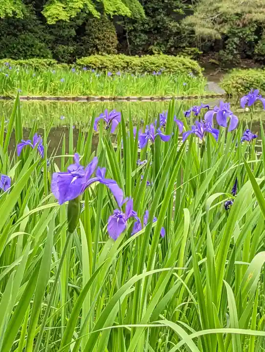 平安神宮(京都府)